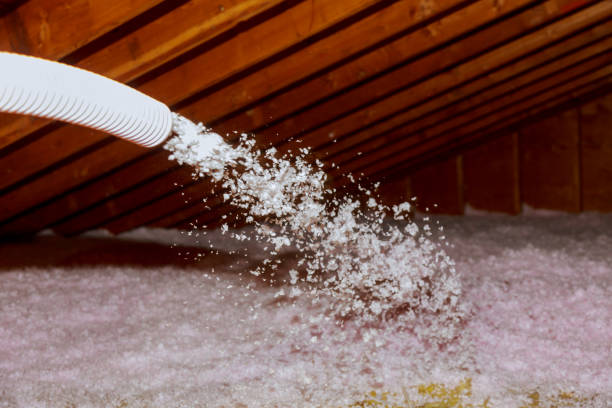 Types of Insulation We Offer in Jupiter, FL