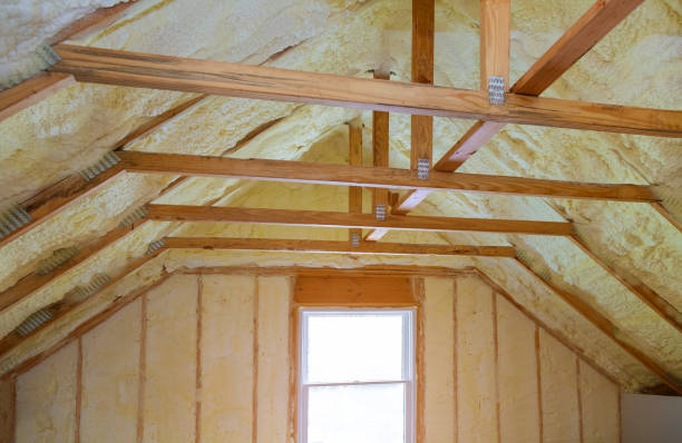 Best Eco-Friendly Insulation in Jupiter, FL