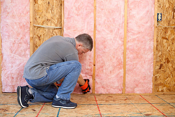 Best Cellulose Insulation in Jupiter, FL